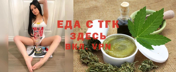 индика Нязепетровск